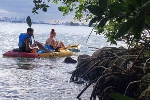 Miami: tour definitivo in barca della baia di Biscayne con esperienza in kayak