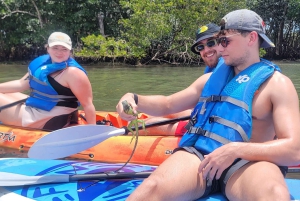 Miami: tour definitivo in barca della baia di Biscayne con esperienza in kayak