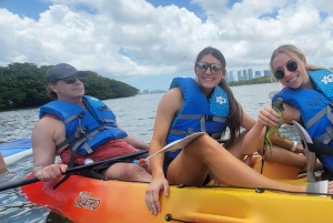 Miami: tour definitivo in barca della baia di Biscayne con esperienza in kayak