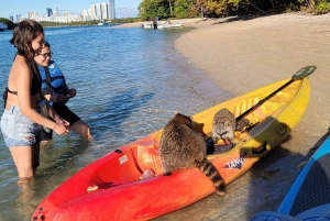 Miami: tour definitivo in barca della baia di Biscayne con esperienza in kayak
