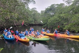 Miami: tour definitivo in barca della baia di Biscayne con esperienza in kayak