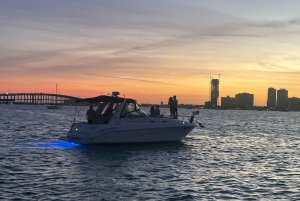 Tour en bateau à Miami pour jusqu'à 12 personnes 2h