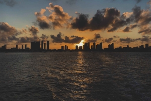 Майами: обзорный круиз «Ряд миллионеров» с рассказом