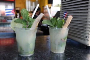 Miami: Bus & Boat Ultimate Sightseeing Combo Tour