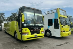Miami: Bus & Boat Ultimate Sightseeing Combo Tour