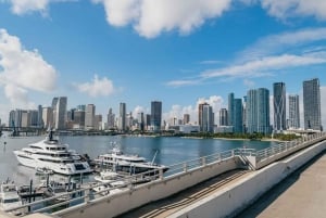 Miami Discovery Tour: 2-dagers Hop-On Hop-Off Explore Your Way