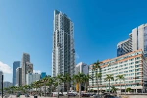 Miami Discovery Tour: 2-dagars sightseeing med hop-on hop-off Explore Your Way