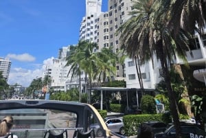 Miami Discovery Tour: 2-Days Hop-On Hop-Off Explore Your Way