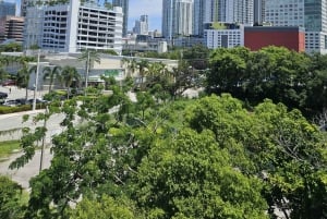 Miami Discovery Tour: 2 días Hop-On Hop-Off Explora a tu manera