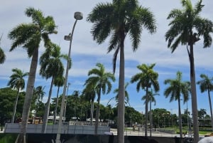 Miami Discovery Tour: 2-Tage Hop-On/Hop-Off Explore Your Way