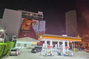 Miami by Night: City and Beach Lights Panoramic Tour