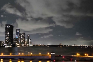 Miami by Night: City and Beach Lights Panoramic Tour