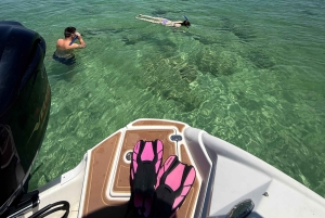 Miami: Julkkisten talot ja Star Island -venekierros