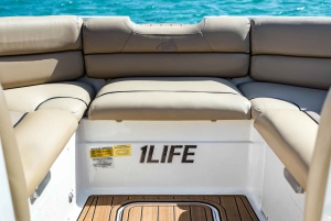 Miami: Julkkisten talot ja Star Island -venekierros