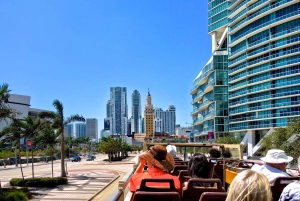 Miami City & Passeio de Barco com Aluguel de Bicicleta