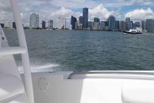 Excursión en barco y ciudad de Miami con alquiler de bicicletas