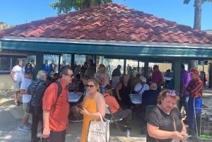 Miami: City Bus Tour - Entdecke die verborgenen Schätze der Stadt