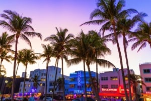 Miami stadstur: 5 platser, 4 stopp, en episk upplevelse