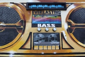 Miami: Tour en autobús por la ciudad con recogida en el centro o en Miami Beach