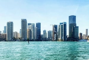 Miami: City Cruise to Millionaire's Homes & Venetian Islands
