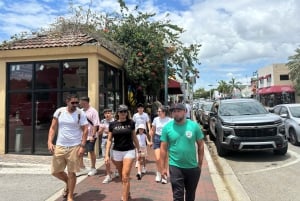 Miami stadstur: 5 platser, 4 stopp, en episk upplevelse