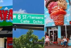 Miami: Tour de la ciudad y emocionante aventura en lancha rápida