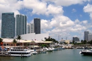 Tour de la ciudad de Miami y tour en barco