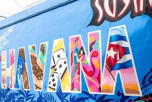 Miami City tour & Boat Tour