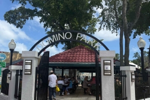 Miami City Tour Tailor Made | Private SUV |