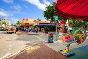 Miami: Tour pela cidade com guia profissional e um confortável van ou SUV