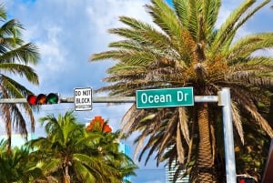 Miami: Tour pela cidade com guia profissional e um confortável van ou SUV
