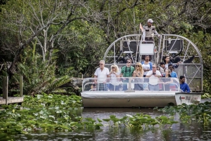 Miami: City Tour with Optional Cruise and Everglades Entry