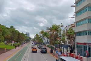 Miami City Tour med stop i Wynwood og Little Havana