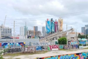 Miamin kaupunkikierros, jossa pysähdytään Wynwoodissa ja Little Havannassa