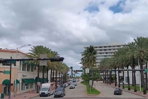 Tour de la ciudad de Miami con paradas en Wynwood y la Pequeña Habana