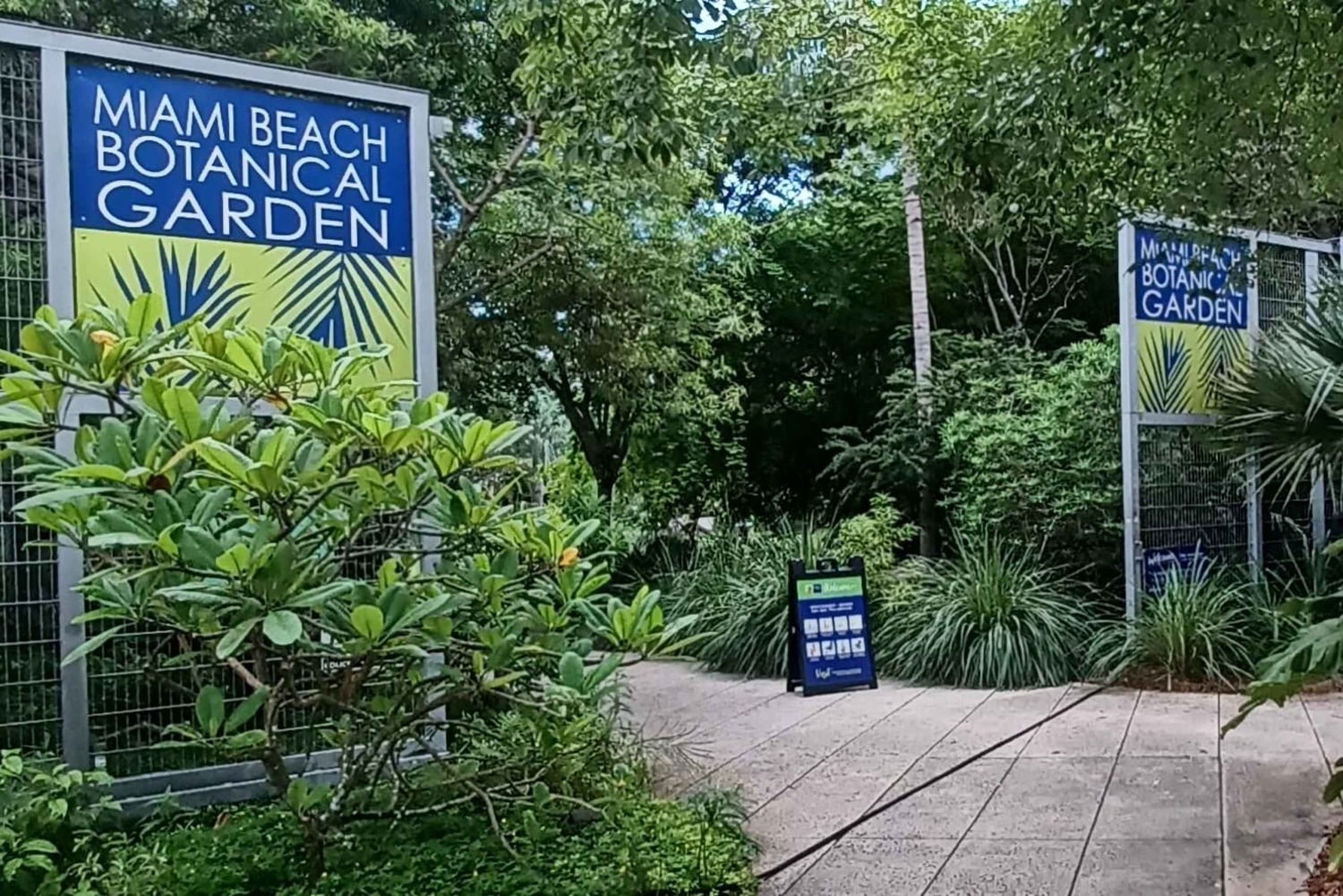 Tour della città di Miami