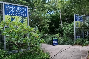 Tour della città di Miami