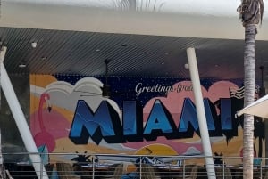 Tour della città di Miami