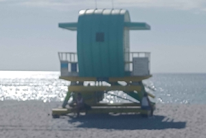 Tour della città di Miami