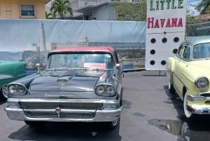 Tour della città di Miami