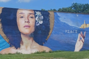 Tour della città di Miami