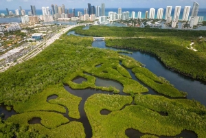 Miami: Clear Kayak Eco Tour with Guide and Wildlife
