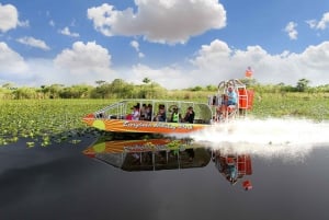 Miami: Tour en autobús descubierto, crucero por la bahía de Biscayne y Everglades
