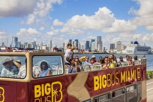 Miami Combo: Panoramic Bus Tour, Bay Cruise, & Everglades