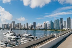 Miami Combo: Open-top Bus Tour & Millionaires Row Bay Cruise