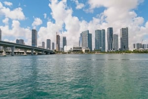 Miami: Millionaires Row Bay Cruise & Sightseeing Bus Tour