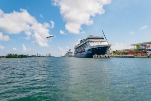 Combo Miami: Tour en autobús descapotable y Crucero por la Bahía de Millionaires Row