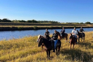 Miami Countryside: ATV Ride and Horseback Riding Experience