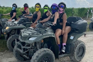 Miami Countryside: ATV Ride and Horseback Riding Experience