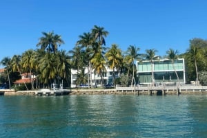 Miami: Cruise to Millionaire's Homes and Hop on-Hop Off Bus